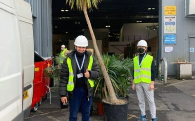 Supplying Plants To Cop26