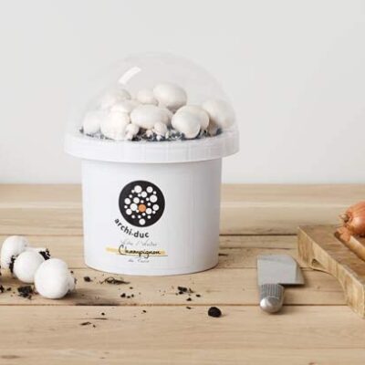 White Mushroom Growing Kit - Grow Our Kits with the Little Ones
