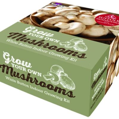 Suffolk Mushroom Growing Kit - Grow Your Own Mushroom